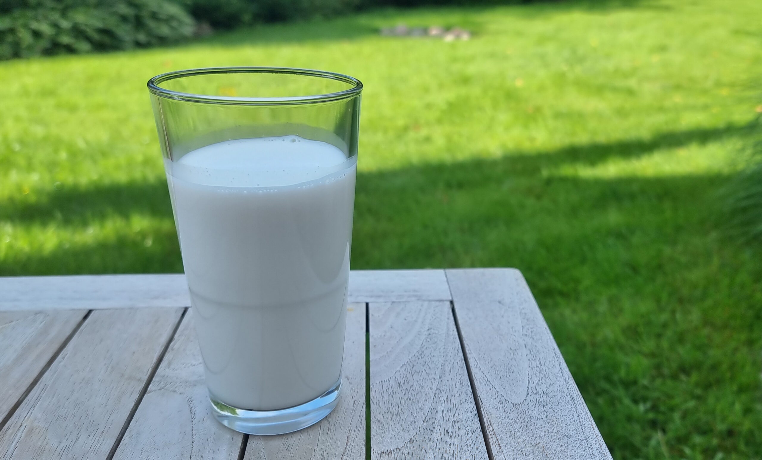 Mythos Milch - gute Gründe auf Milch zu verzichten